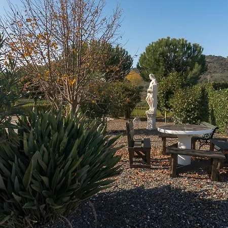 Отель Estrela Da